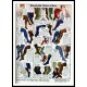 1922 Simpson Catalog 21, A New Print Of a Fashion Poster