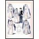 Edwardian Fashion Series 1 - 66, A New Print Of a Fashion Poster