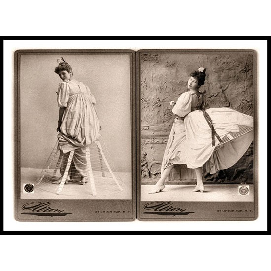 Hoop Skirt 1893, A New Print Of a Fashion Poster