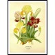 Vintage Flower - 264, A New Print Of a Vintage Flower Poster