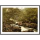 Dargle Co Wicklow Ireland, A New Print Of a Vintage Irish Photochrom