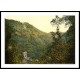 Dargle Lovers Leap Co Wicklow Ireland, A New Print Of a Vintage Irish Photochrom