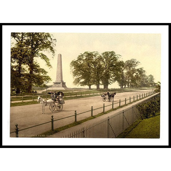 Dublin Phoenix Park Co Dublin Ireland, A New Print Of a Vintage Irish Photochrom