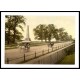 Dublin Phoenix Park Co Dublin Ireland, A New Print Of a Vintage Irish Photochrom