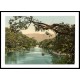 Meetingofthe Waters Killarney Co Kerry, A New Print Of a Vintage Irish Photochrom