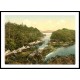 Parknasilla Co Kerry Ireland, A New Print Of a Vintage Irish Photochrom