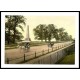 Phoenix Park Dublin Co Dublin, A New Print Of a Vintage Irish Photochrom