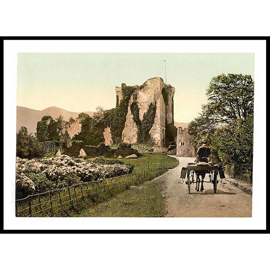 Ross Castle Killarney Co Kerry, A New Print Of a Vintage Irish Photochrom