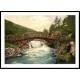 Rustic Bridgein Glenariff Co Antrim, A New Print Of a Vintage Irish Photochrom