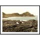 The Steuchans Giants Causeway Co Antrim, A New Print Of a Vintage Irish Photochrom