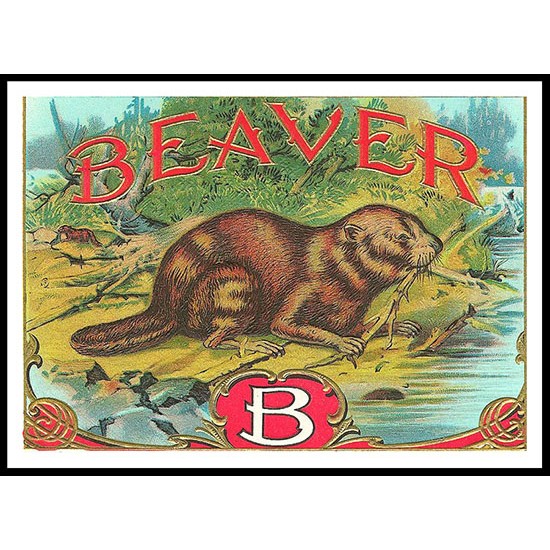 Beaver, A New Print Of a Vintage Label