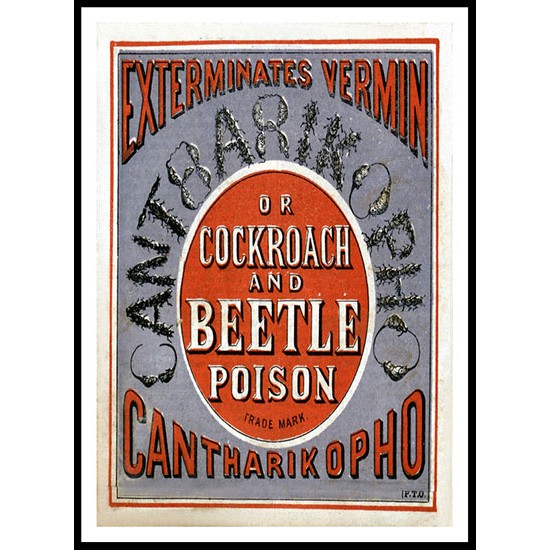 Beetle Poison 1874, A New Print Of a Vintage Label