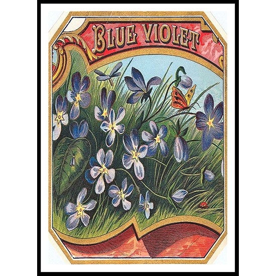 Blue Violet, A New Print Of a Vintage Label