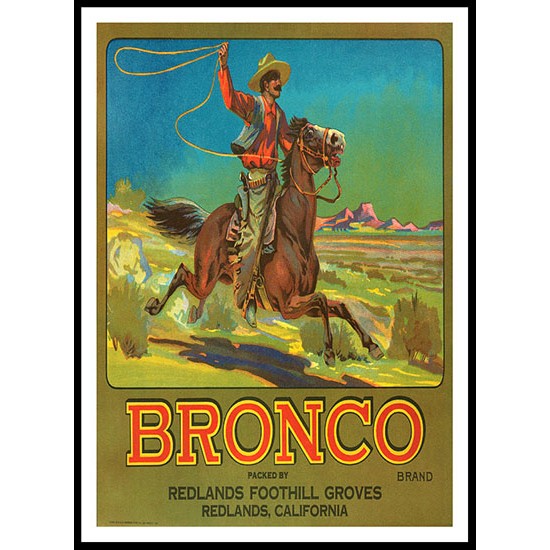 Bronco, A New Print Of a Vintage Label