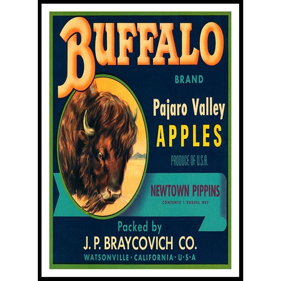 Buffalo, A New Print Of a Vintage Label