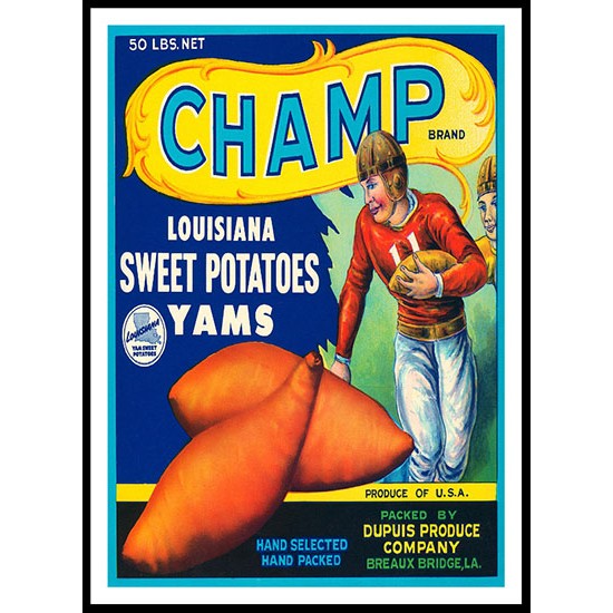 Champ, A New Print Of a Vintage Label