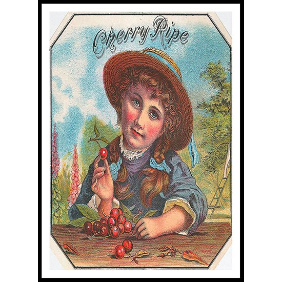 Cherry Ripe, A New Print Of a Vintage Label