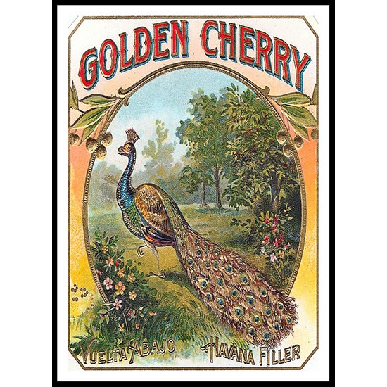 Golden Cherry, A New Print Of a Vintage Label