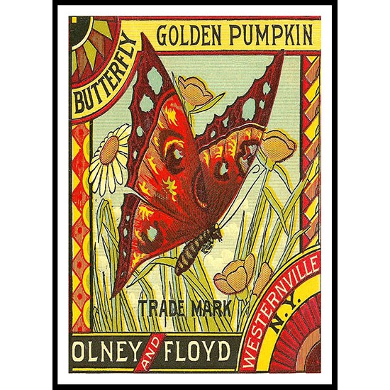 Golden Pumpkin 2, A New Print Of a Vintage Label