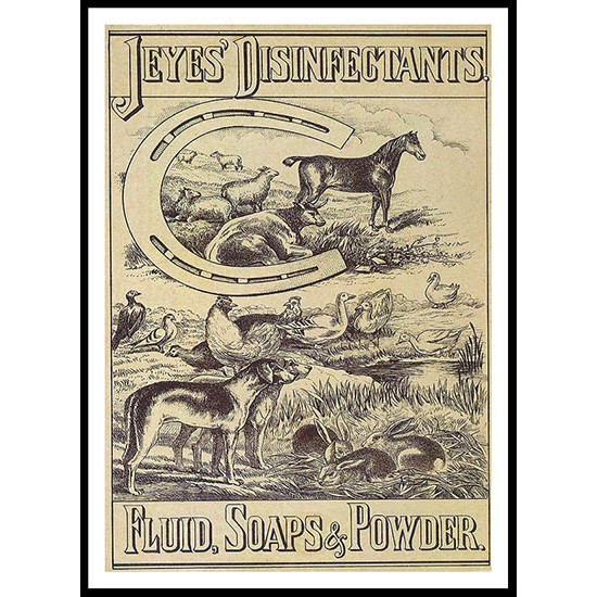 Jeyes Disinfectants 1880, A New Print Of a Vintage Label