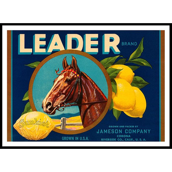 Leader, A New Print Of a Vintage Label