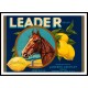 Leader, A New Print Of a Vintage Label