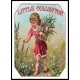 Little Collector, A New Print Of a Vintage Label Little Collector, A New Print Of a Vintage Label