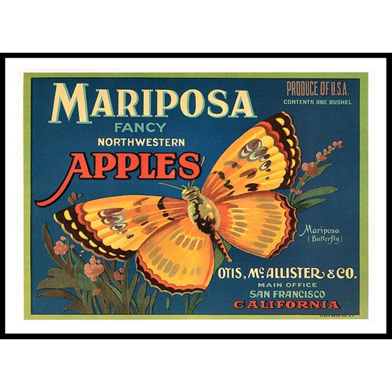 Mariposa Apples, A New Print Of a Vintage Label