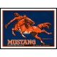 Mustang, A New Print Of a Vintage Label