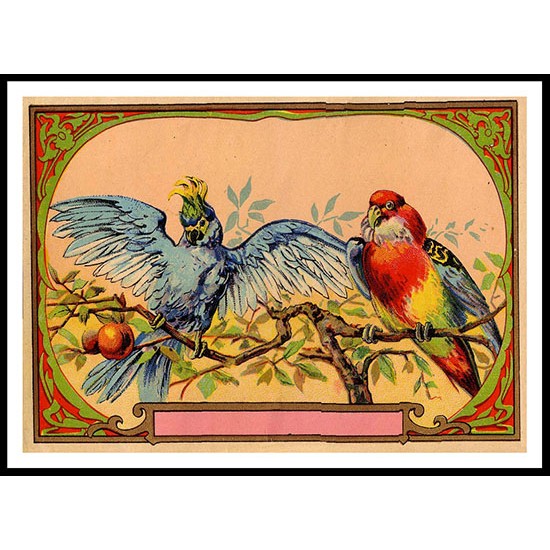 Parrots 1, A New Print Of a Vintage Label