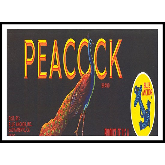 Peacock, A New Print Of a Vintage Label