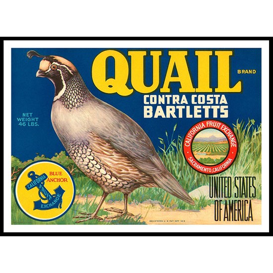 Quail, A New Print Of a Vintage Label