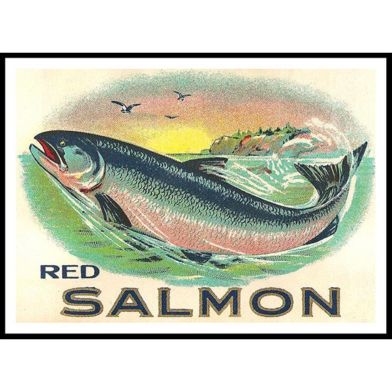 Red Salmon, A New Print Of a Vintage Label