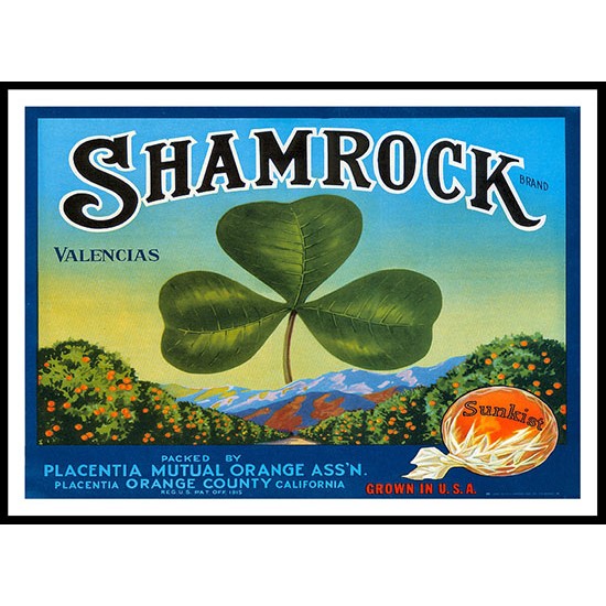 Shamrock, A New Print Of a Vintage Label