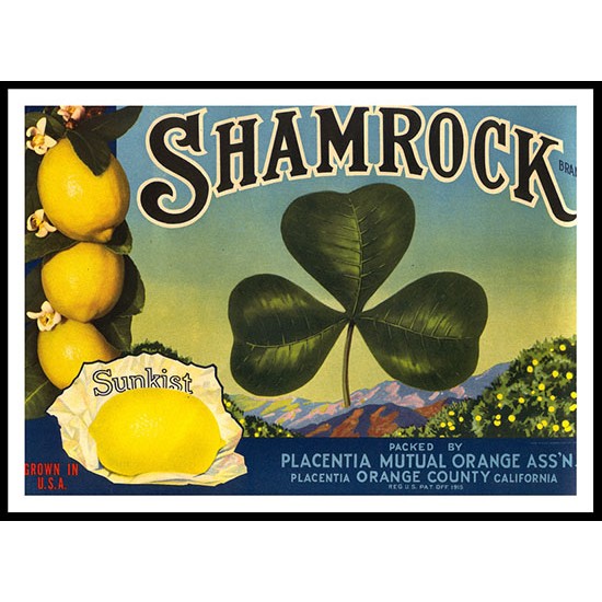 Shamrock 2, A New Print Of a Vintage Label