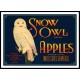 Snow Owl, A New Print Of a Vintage Label