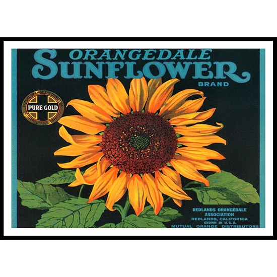 Sunflower, A New Print Of a Vintage Label