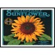 Sunflower, A New Print Of a Vintage Label