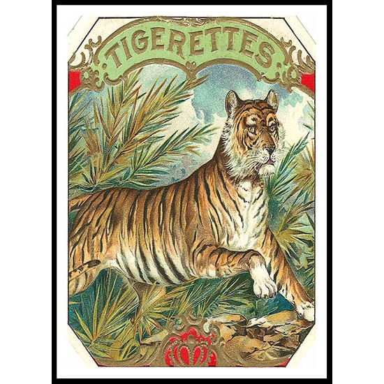 Tigerettes, A New Print Of a Vintage Label