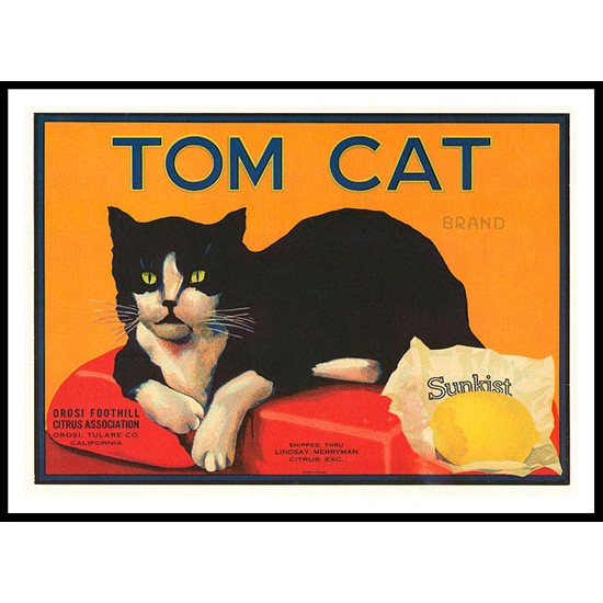 Tom Cat, A New Print Of a Vintage Label