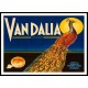 Vandalia, A New Print Of a Vintage Label