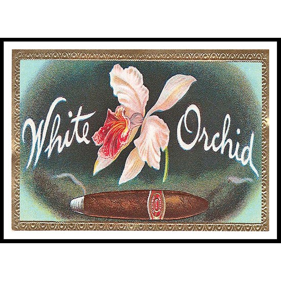 White Orchid, A New Print Of a Vintage Label