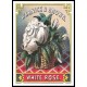 White Rose, A New Print Of a Vintage Label