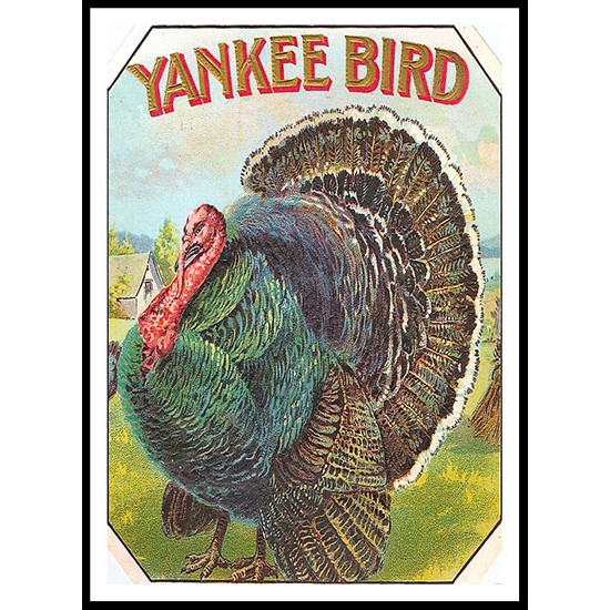 Yankee Bird, A New Print Of a Vintage Label