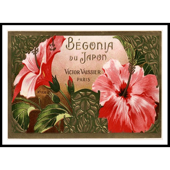 Begonia, A New Print Of a Vintage Perfume Ad