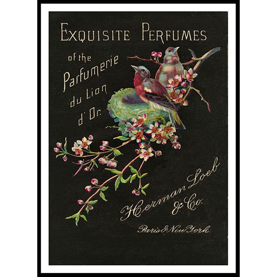 Exquisite Perfumes, A New Print Of a Vintage Perfume Ad