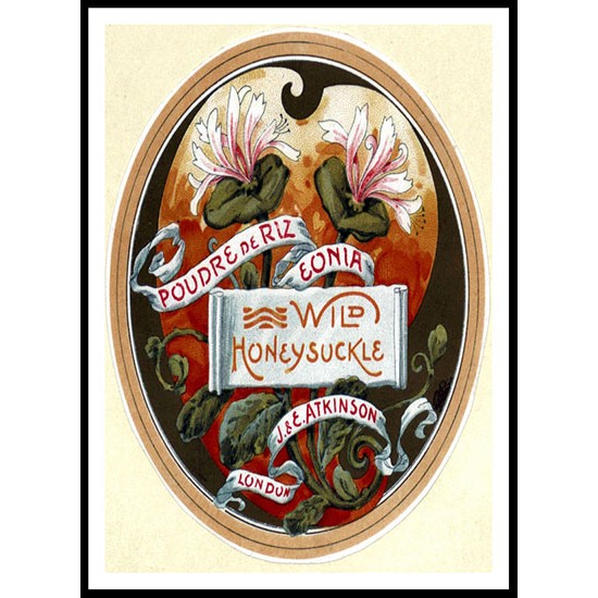 Honeysuckle Powder, A New Print Of a Vintage Perfume Ad