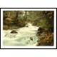 Aberfeldy The Birkso Aberfeldy Scotland, A New Print Of A Vintage Scottish Photochrom