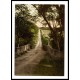 Banff Caveney Brae Scotland, A New Print Of A Vintage Scottish Photochrom