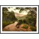 Trossachs Loch Katrine Where Twines The Path, A New Print Of A Vintage Scottish Photochrom